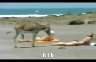Vámtisztviselők az ellenőrzés megszervezésére orvos pornó